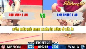 TRẬN 20 CPC3 27/1/2026