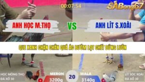 TRẬN 20 XÀ XÍA 19/1/2026