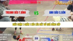 TRẬN 20 XÀ XÍA 30/1/2026