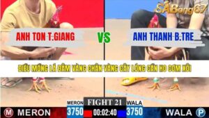 TRẬN 21 CPC3 18/1/2026