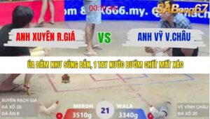 TRẬN 21 XÀ XÍA 20/1/2026