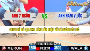 TRẬN 22 CPC3 11/1/2026