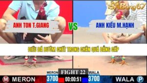 TRẬN 22 CPC3 29/1/2026