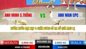 TRẬN 22 TONHON 7/1/2026