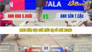 TRẬN 22 XÀ XÍA 13/1/2026