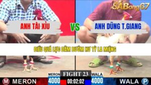 TRẬN 23 CPC3 11/1/2026