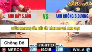 TRẬN 23 CPC3 23/1/2026