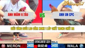 TRẬN 23 CPC3 25/1/2026