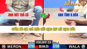 TRẬN 23 CPC3 29/1/2026