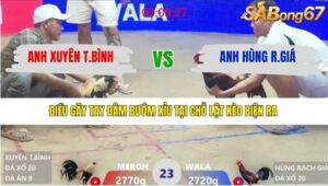 TRẬN 23 XÀ XÍA 30/1/2026