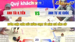 TRẬN 23 XÀ XÍA 9/1/2026