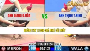 TRẬN 24 CPC3 27/1/2026