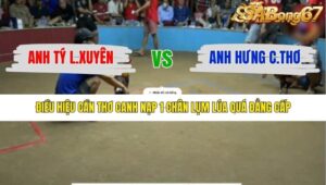 TRẬN 24 THƯỜNG PHƯỚC 17/1/2026