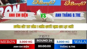 TRẬN 24 TONHON 21/1/2026