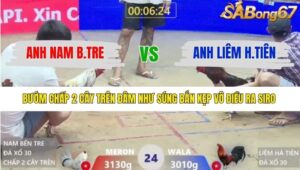 TRẬN 24 XÀ XÍA 13/1/2026