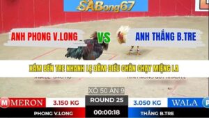 TRẬN 25 TONHON 7/1/2026