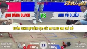 TRẬN 25 XÀ XÍA 1/1/2026