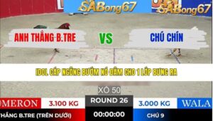 TRẬN 26 TONHON 24/1/2026