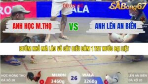 TRẬN 26 XÀ XÍA 19/1/2026