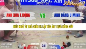 TRẬN 26 XÀ XÍA 21/1/2026