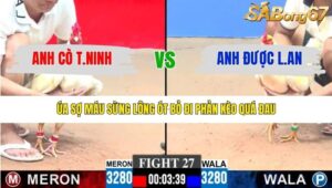 TRẬN 27 CPC3 18/1/2026