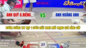 TRẬN 27 XÀ XÍA 19/1/2026