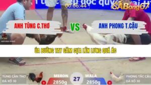 TRẬN 27 XÀ XÍA 26/1/2026