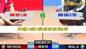 TRẬN 27 CPC3 29/1/2026