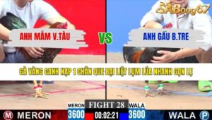 TRẬN 28 CPC3 25/1/2026