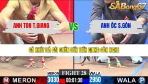 TRẬN 28 CPC3 27/1/2026