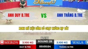 TRẬN 28 TONHON 7/1/2026