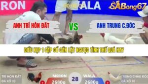 TRẬN 28 XÀ XÍA 26/1/2026