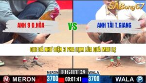 TRẬN 29 CPC3 27/1/2026