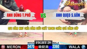 TRẬN 29 CPC3 8/1/2026