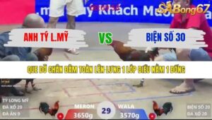 TRẬN 29 XÀ XÍA 19/1/2026