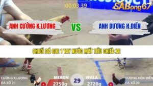 TRẬN 29 XÀ XÍA 26/1/2026