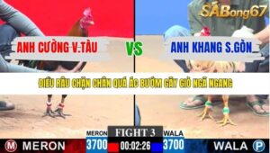 TRẬN 3 CPC3 23/1/2026