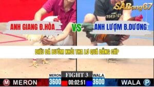 TRẬN 3 CPC3 25/1/2026