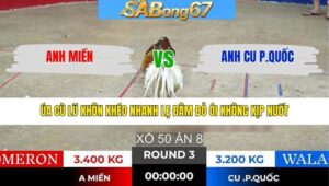 TRẬN 3 TONHON 28/1/2026