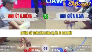 TRẬN 3 XÀ XÍA 20/1/2026