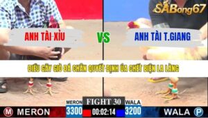 TRẬN 30 CPC3 8/1/2026