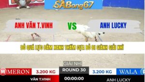 TRẬN 30 TONHON 11/1/2026