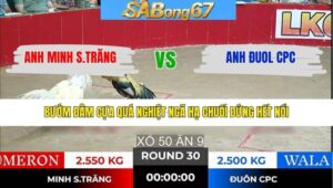 TRẬN 30 TONHON 28/1/2026