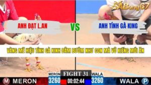 TRẬN 31 CPC3 29/1/2026