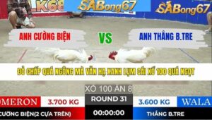 TRẬN 31 TONHON 28/1/2026