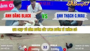 TRẬN 32 XÀ XÍA 1/1/2026