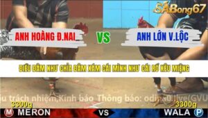 TRẬN 33 CPC4 13/1/2026