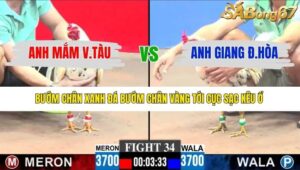 TRẬN 34 CPC3 11/1/2026