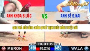 TRẬN 35 CPC3 23/1/2026