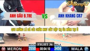 TRẬN 36 CPC3 11/1/2026